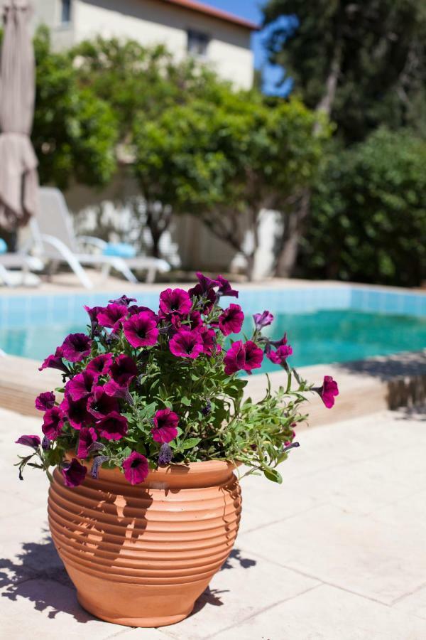 Sunny Rhodes Villa Koskinou  Екстериор снимка