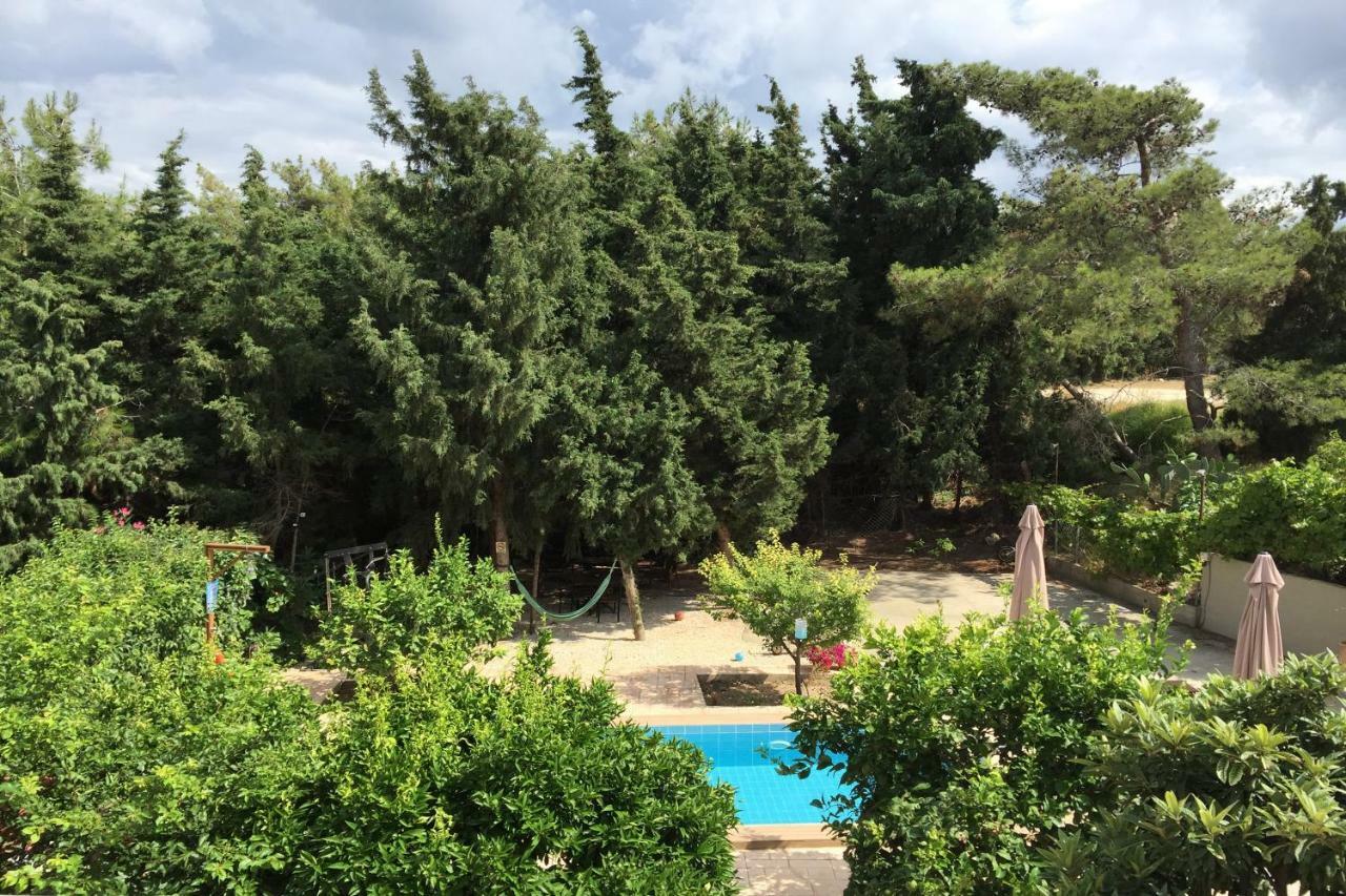 Sunny Rhodes Villa Koskinou  Екстериор снимка